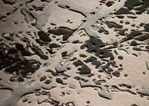 Teppich mit kunstvollem Mix aus feiner Schlinge und kunstvoll gefrästen Partien.